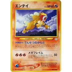 PSA10 Entei LV.24 : Old Back [PRMF-3 No.244](Pokemon Card neo “Premium File 3”)